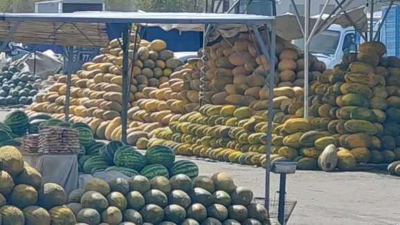 Рынок дынь в Теджене - Туркменистан
